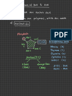 Structure of DNA & RNA