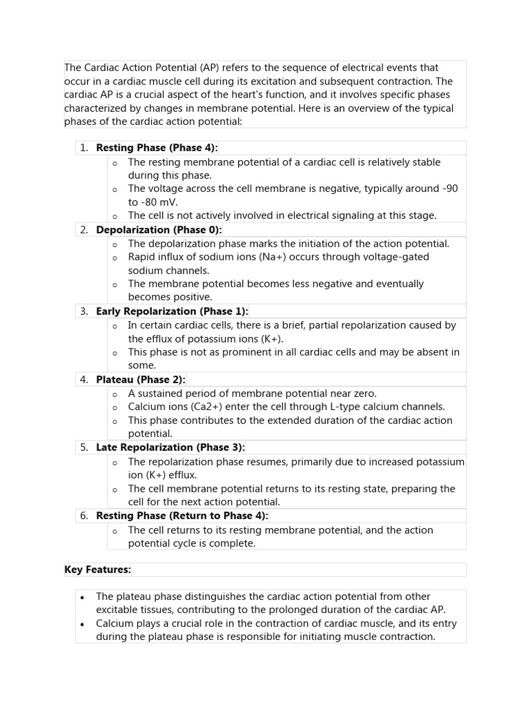 Overview of Cardiac Action Potential Phases | PDF | Membrane Potential ...