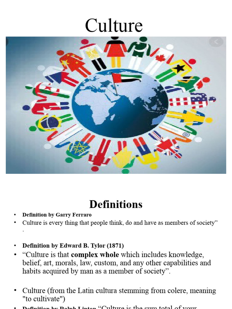 Understanding Culture: Definitions & Types | PDF | Learning | Socialization