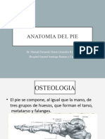 Anatomia de Pie