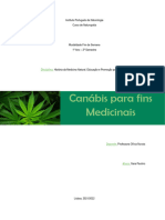 Sara Paulino - 1ºNatFDS - Cannabis para Fins Medicinais