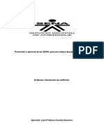 Ensayo Resolución de Conflictos.