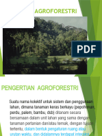 Saf 2 Konsep Sistem Agroforestry