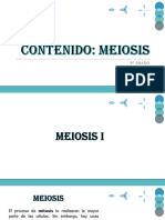 Ciencia - 9 - 9.1 (1) La Meiosis