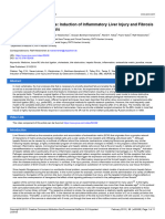 Jove Protocol 52438 Bile Duct Ligation Mice Induction Inflammatory Liver Injury Fibrosis