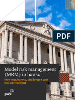 Model Risk Management in Banks
