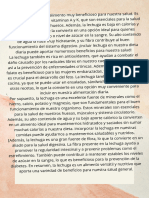 PDF de Lechuga