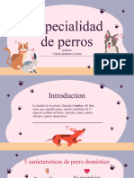 Especialidad de Perro