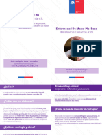 DIPTICO MANO-PIE-BOCA PDF 2022 (11480)