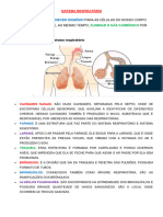 Adaptada Respiratorio