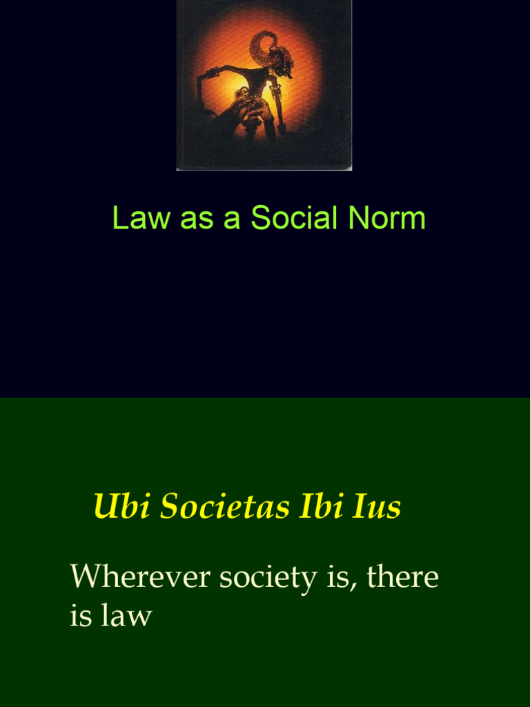 Understanding Law as a Social Norm | PDF | Morality | Human