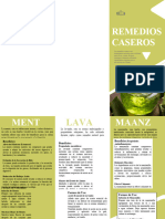 Plantilla de Triptico en Word