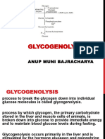 Glycogenolysis 200426014921 PDF