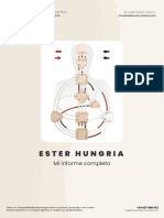 Gráfico Completo de Diseño Humano