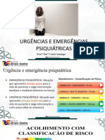 Emergencias Psiquiatricas - IBS Cintia