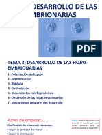 3.tema - Desarrollo de Las Hojas Enbrionarias - EBR