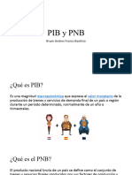 PIB y PNB