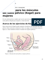 Pelvic Floor Muscle Kegel Exercises Females