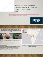 Los Chimpancés Occidentales Están Amenazados