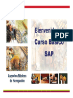 Curso Basico SAP