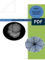 Ingemmet-Guia Taxonomica Microfosiles GR15