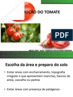 Cultura Do Tomate Aula 2