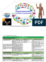 Organizador Curricular de Ciencias