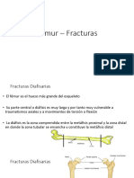 19fémur Fracturas