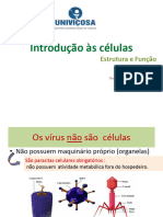 Aula 1 - Indrodução A Células