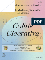 Colitis Ulcerativa