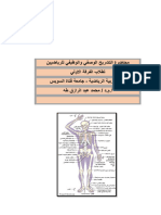 محاضرة التشريح الاولي