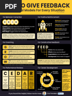 SEED/BIC Feedback Framework Guide | PDF | Benchmarking | Psychological ...