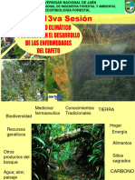 Semana 13-Cambio Climático y Enfermedades