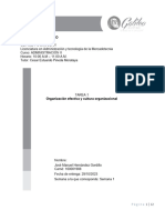 Tarea 1 - Organización Efectiva