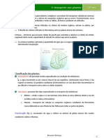 Transporte nas plantas - Xilema, Floema e Translocação