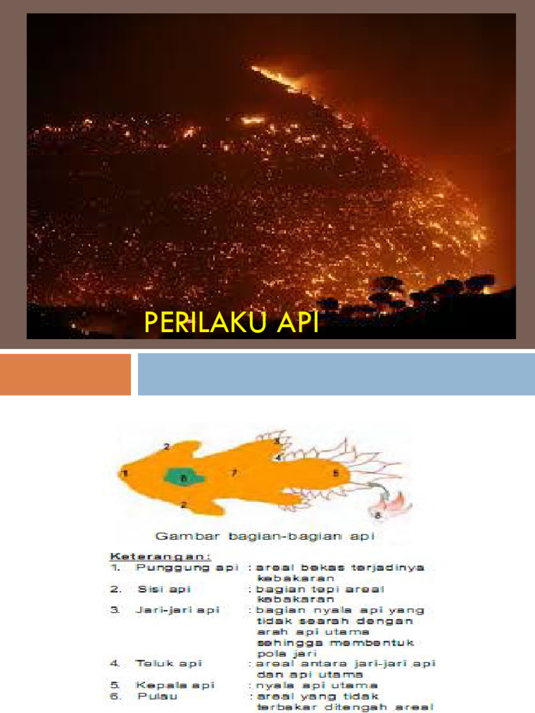 Parameter Perilaku Api dan Kebakaran | PDF
