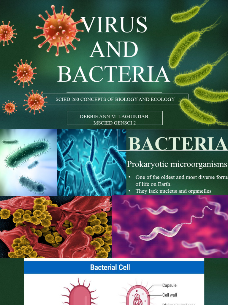 Bacteria and Viruses | PDF | Virus | Bacteria