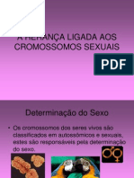 A HERANÇA DOS CROMOSSOMOS SEXUAIS