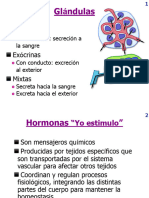 Sistema Endocrino I