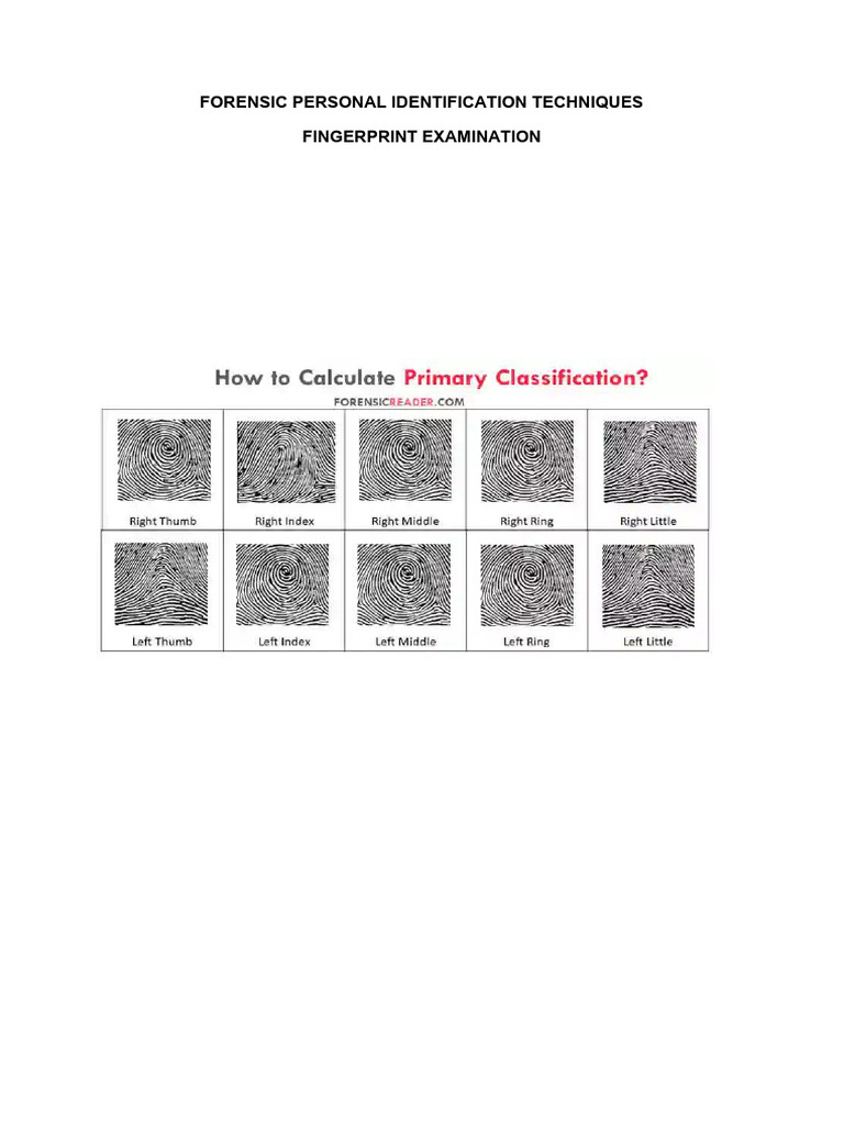 Fingerprint Examination | PDF | Fingerprint | Forensic Science