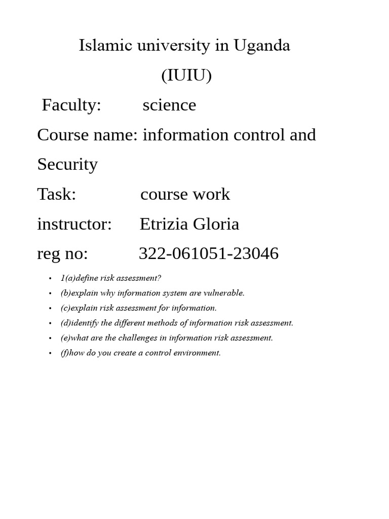 Information Risk Assessment Guide | PDF | Risk | Computer Security