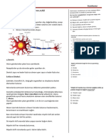 Sinir Sistemi-1 (Nöron Yapısı) 