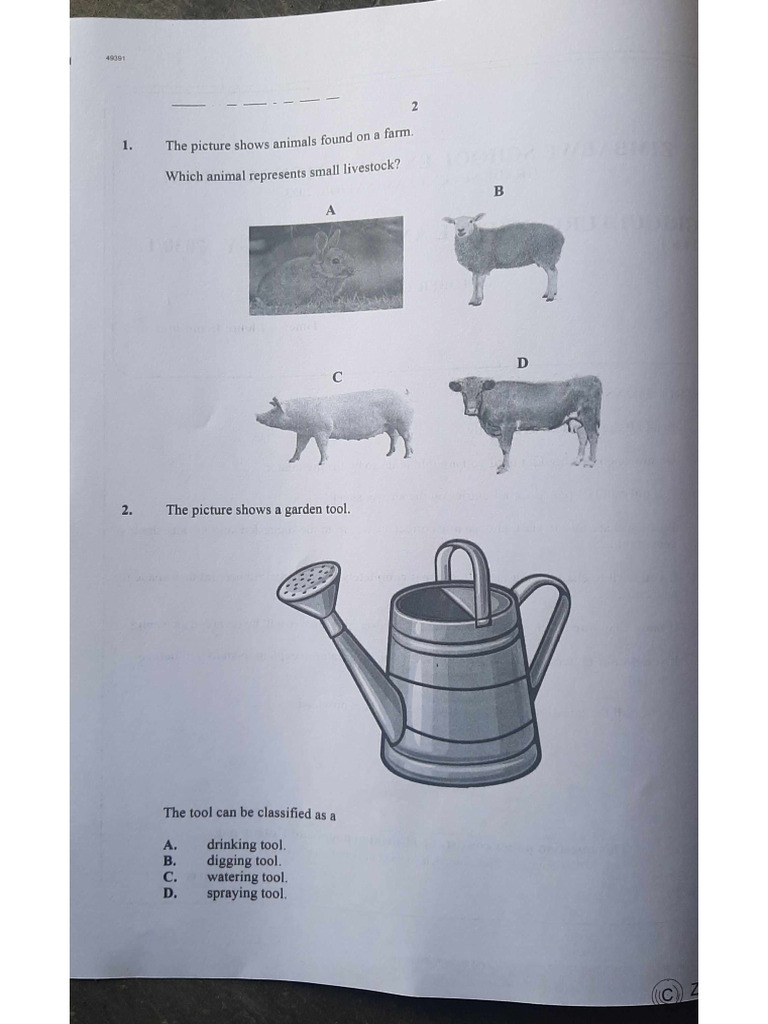 Agric Science And Tech P1 2023 Pdf