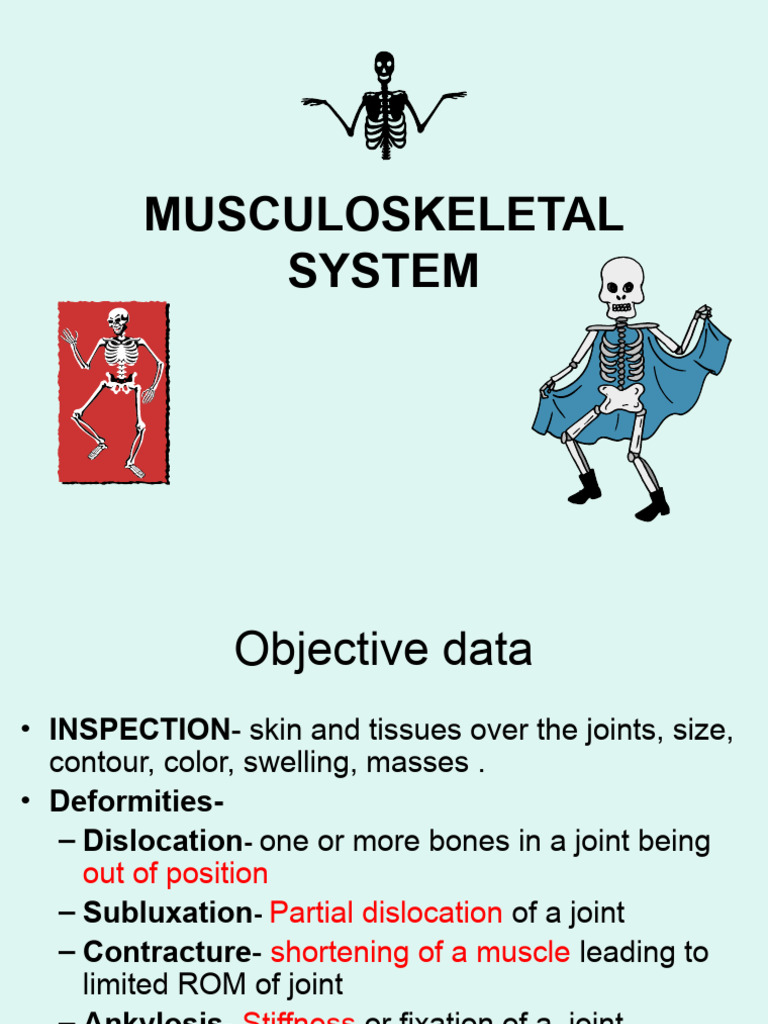 13 NewMusculoskeletal System | PDF