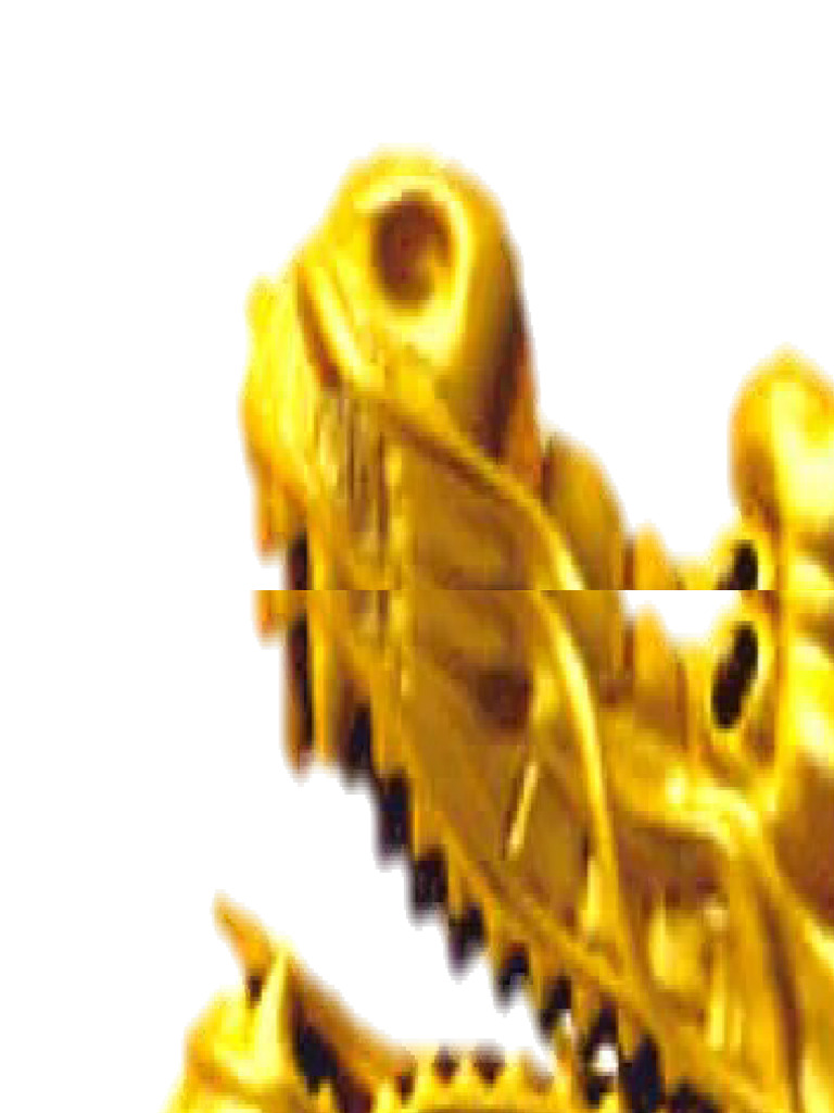 Dragon 2 | PDF