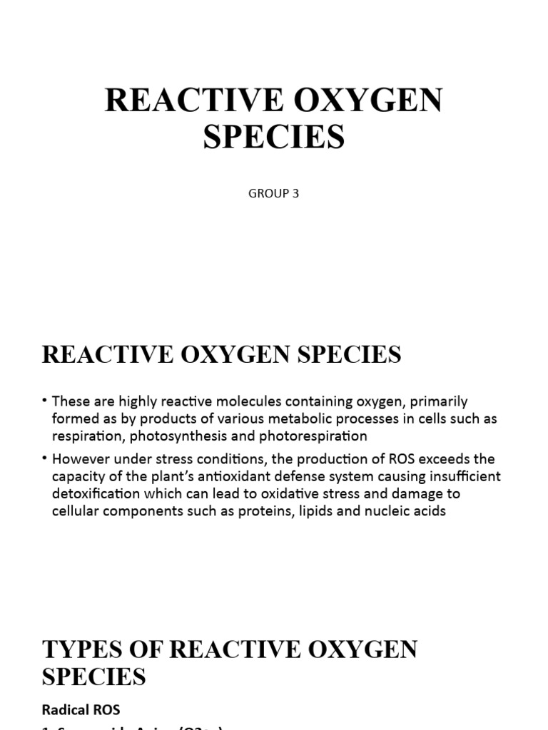 Understanding Reactive Oxygen Species in Plants | PDF | Antioxidant ...