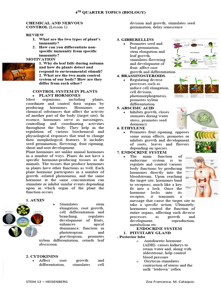 Plant and Animal Hormonal Control | PDF | Kidney | Nervous System