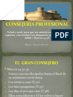 Consejeria Profesional 1