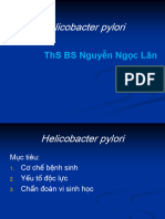 BG HelicobacterPylori ViSinh