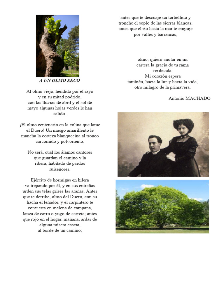 A Un Olmo Seco | PDF